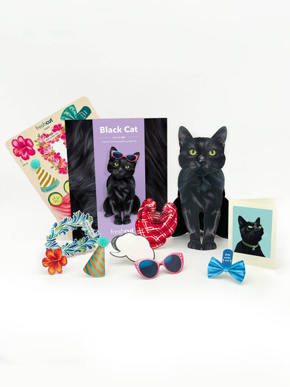 Black Cat (6 Pop-up Greeting Cards)