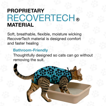 BellyGuard Cat Recovery Suit - Blue Paw
