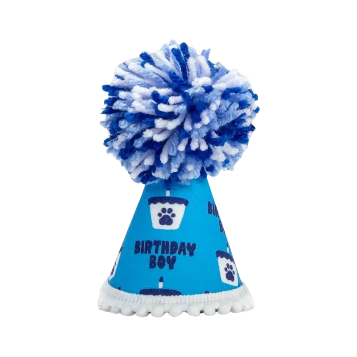 Barkday Boy Hat