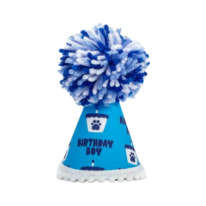 Barkday Boy Hat