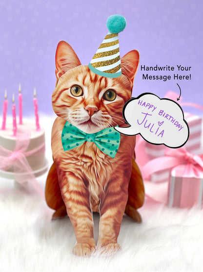 Orange Tabby (6 Pop-up Greeting Cards)