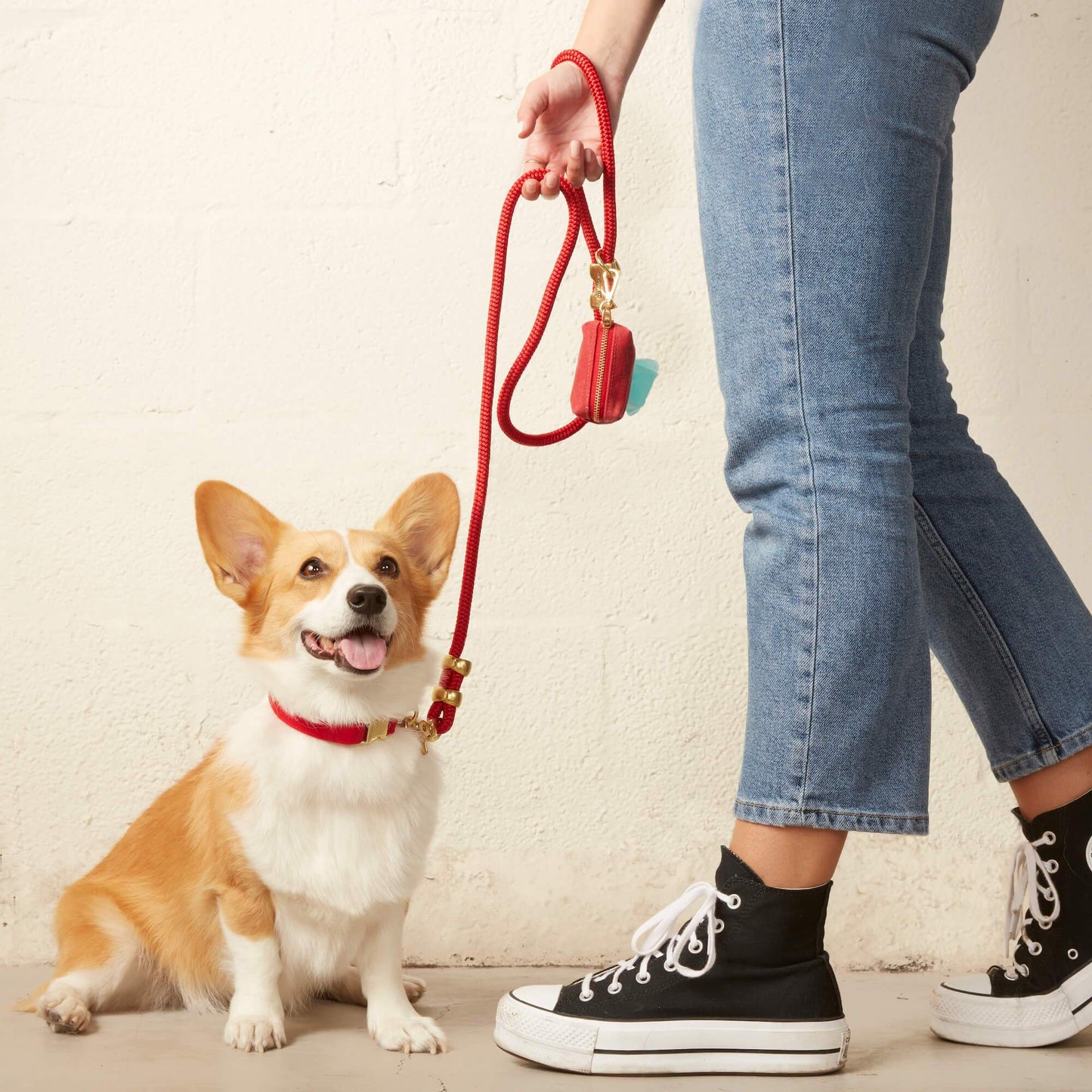 Ruby Dog Collar
