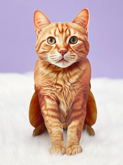 Orange Tabby (6 Pop-up Greeting Cards)