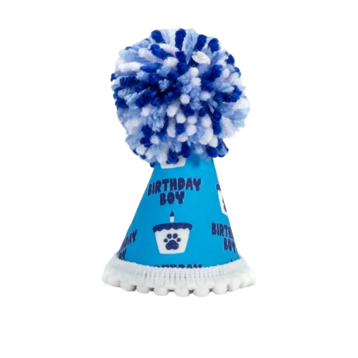 Barkday Boy Hat