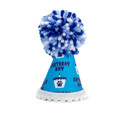 Barkday Boy Hat