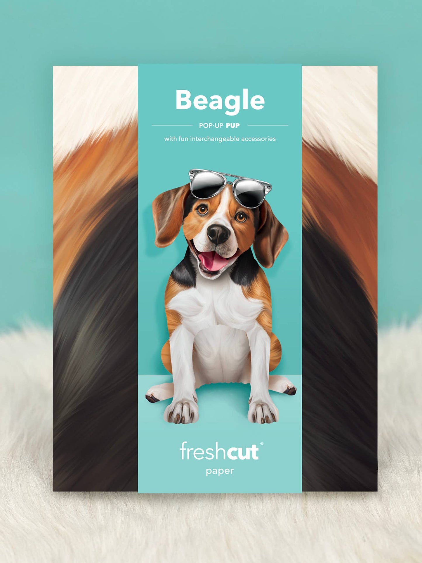 Beagle (6 Pop-up Greeting Cards)