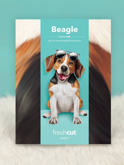 Beagle (6 Pop-up Greeting Cards)