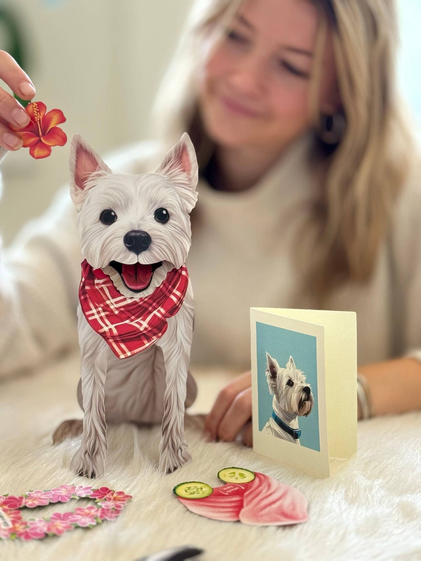 Westie (6 Pop-up Greeting Cards)