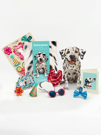 Dalmatian (6 Pop-up Greeting Cards)
