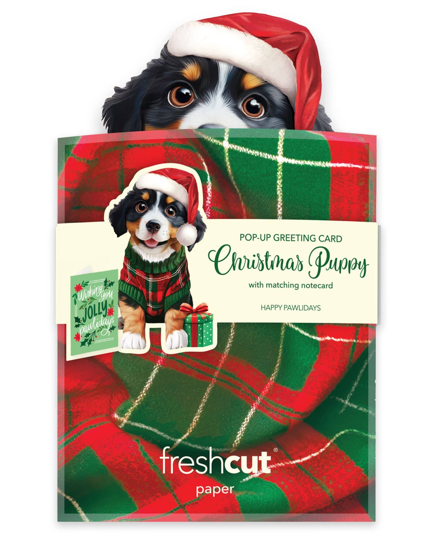 Mini Christmas Puppy (10 Mini Pop-up Greeting Cards)