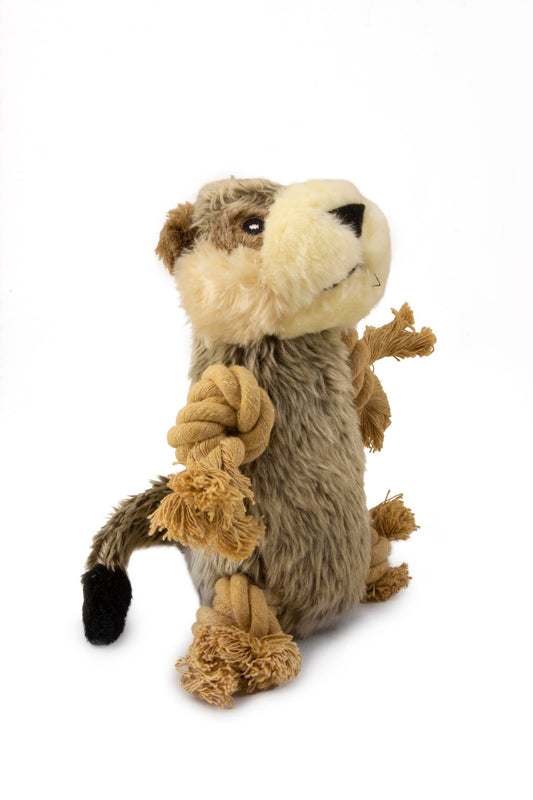 Roper Prairie Gopher