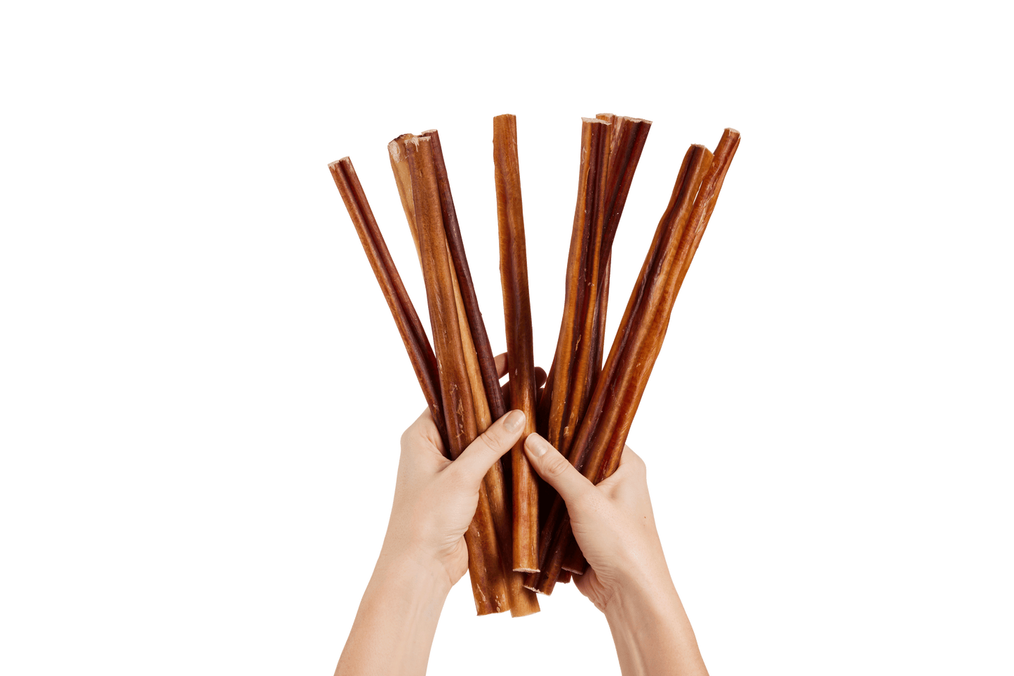BullySafe Chews - BullySticks