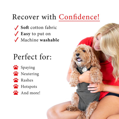 BellyGuard Recovery Suit For Dogs - Grey