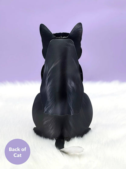 Tuxedo Cat (6 Pop-up Greeting Cards)