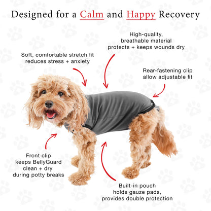 BellyGuard Recovery Suit For Dogs - Grey