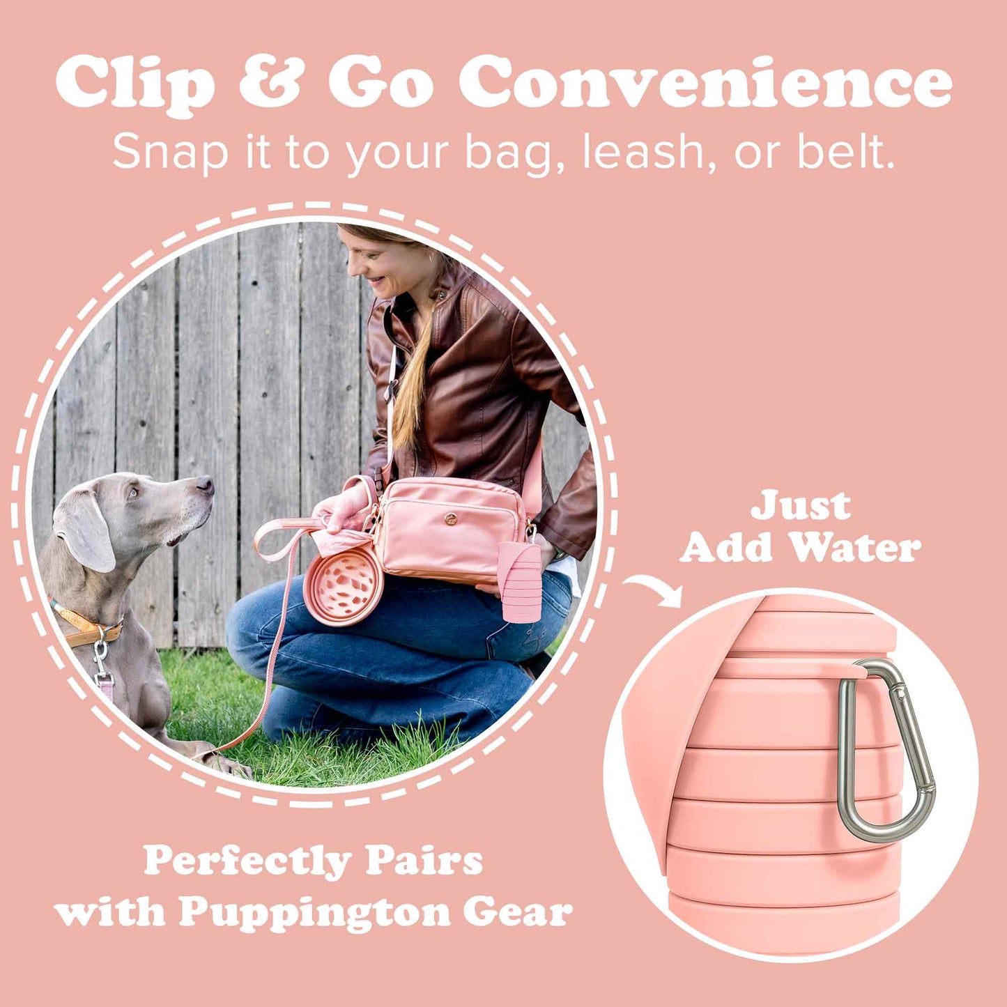 Water Bottles for Dogs - Leakproof, Compact, BPA free