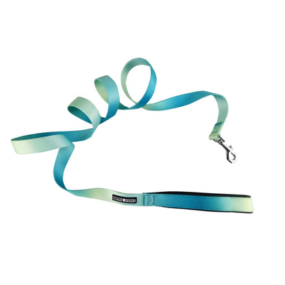 American River Ombre Leash - Aruba Blue