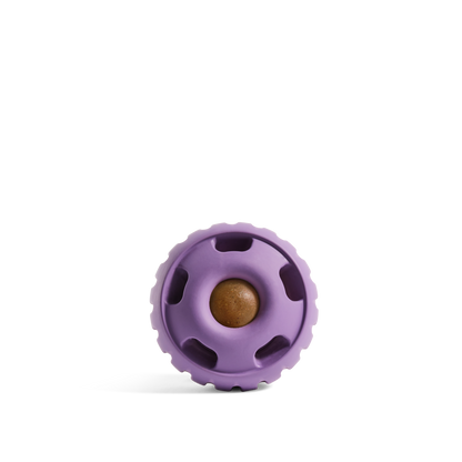 The Pupsicle - Lavender