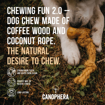 Shelf Display Coffee & Coco Wood Dog Chew 16-piece.