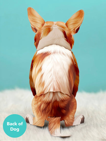 Corgi (6 Pop-up Greeting Cards)