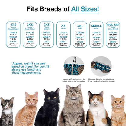 BellyGuard Cat Recovery Suit - Blue Paw
