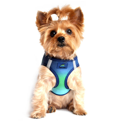 American River Ombre Dog Harness - Northern Lights