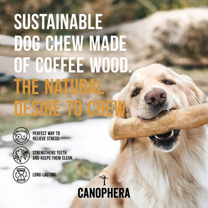 Shelf Display Filled With 16 Coffee Wood Dog Chews.