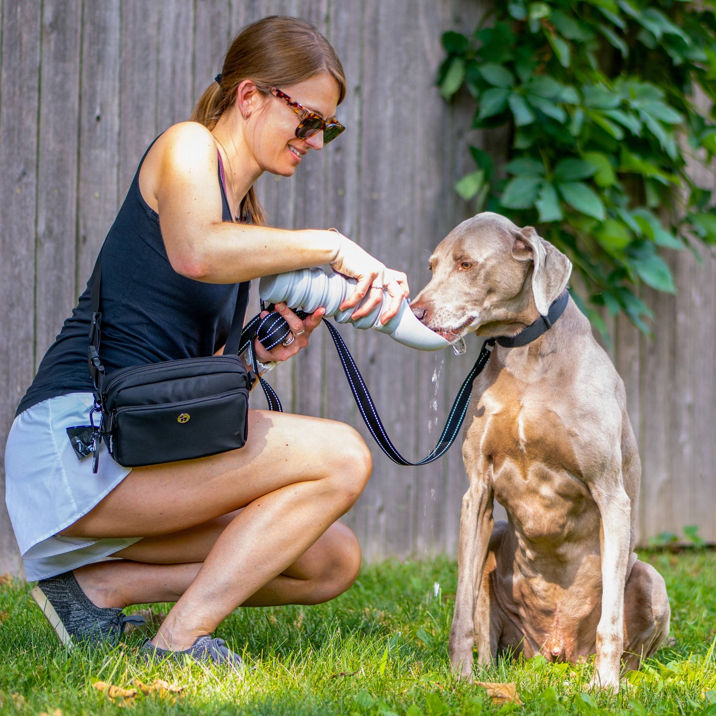 Water Bottles for Dogs - Leakproof, Compact, BPA free