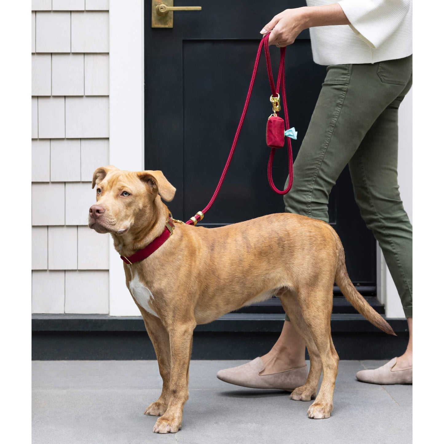 Wine Waxed Canvas Poop Bag Dispenser