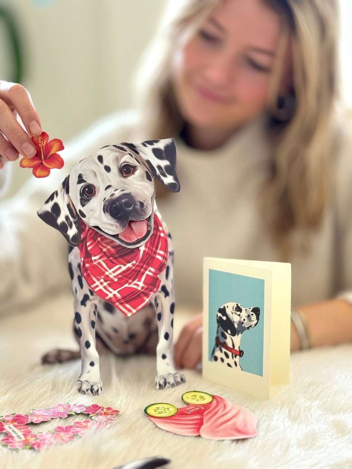 Dalmatian (6 Pop-up Greeting Cards)