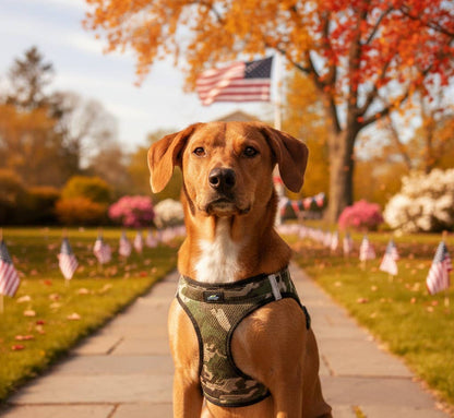 American River Camouflage Dog Harness - Green Camo