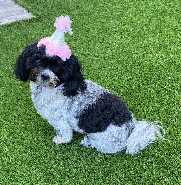 Birthday Hat, Pink