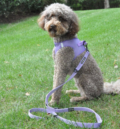 American River Solid Dog Harness - Paisley Purple