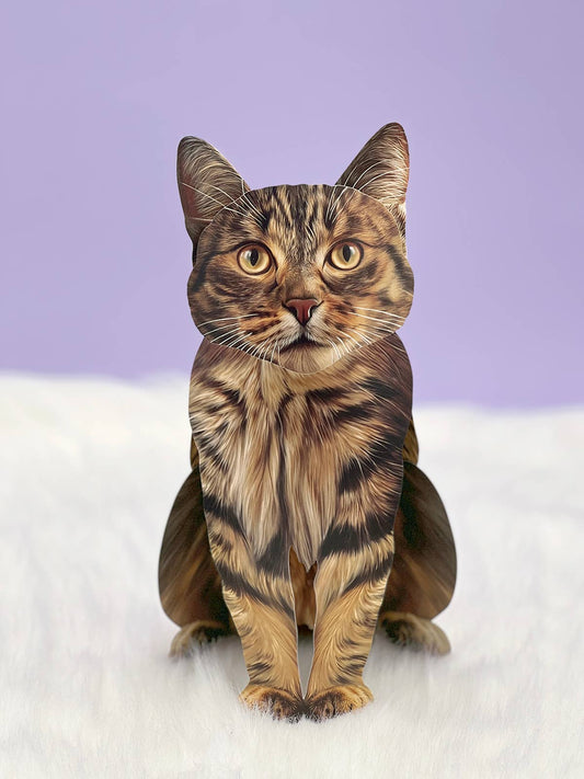 Brown Tabby (6 Pop-up Greeting Cards)