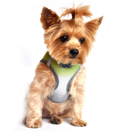 American River Ombre Dog Harness - Limestone Gray