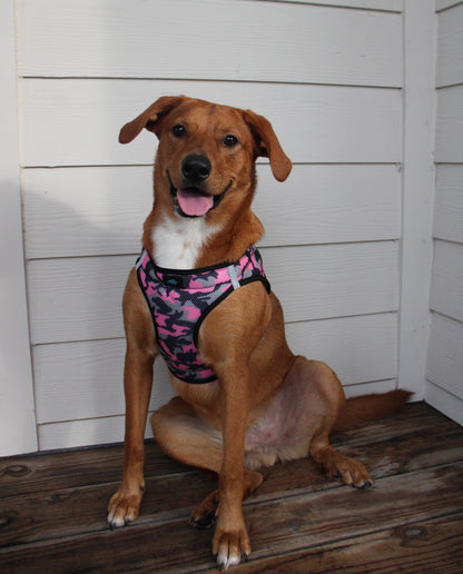 American River Camouflage Dog Harness - Pink Camo