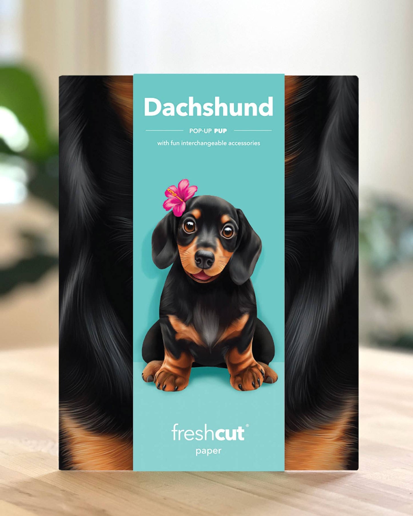 Dachshund (6 Mini Pop-up Greeting Cards)