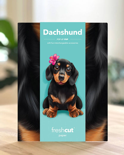 Dachshund (6 Mini Pop-up Greeting Cards)
