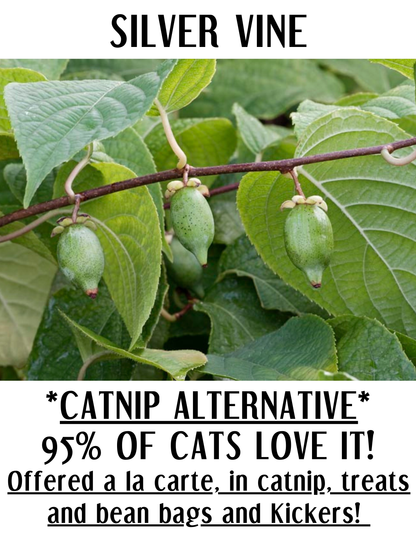 Matatabi Sticks | Cat Chew Toy | NEW! Printables!