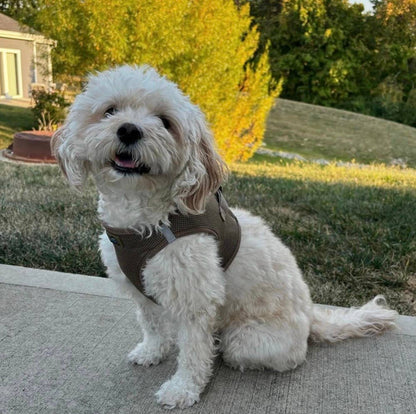 American River Solid Dog Harness - Fossil Brown