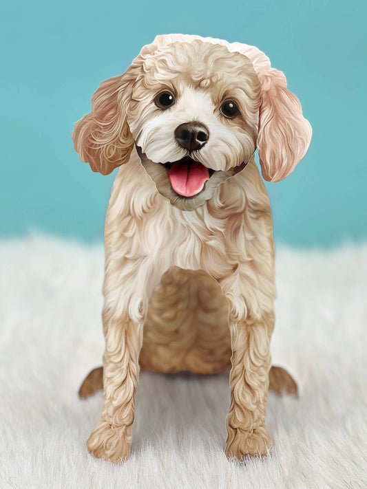 Poodle (6 Pop-up Greeting Cards)
