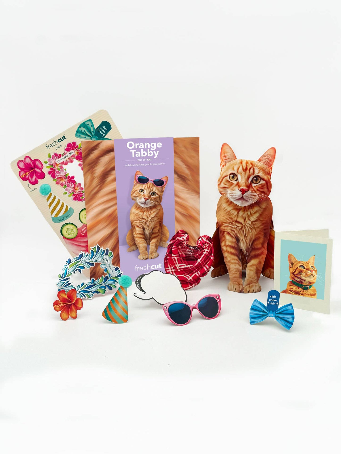 Orange Tabby (6 Pop-up Greeting Cards)