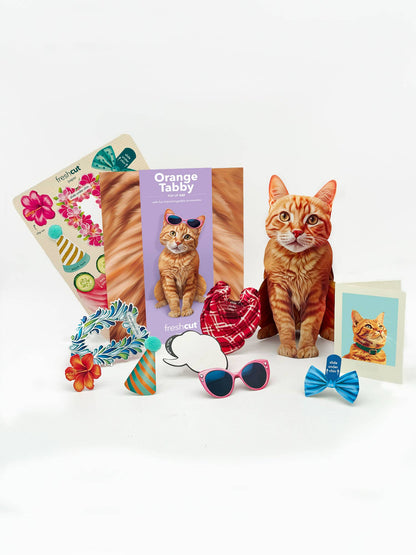 Orange Tabby (6 Pop-up Greeting Cards)