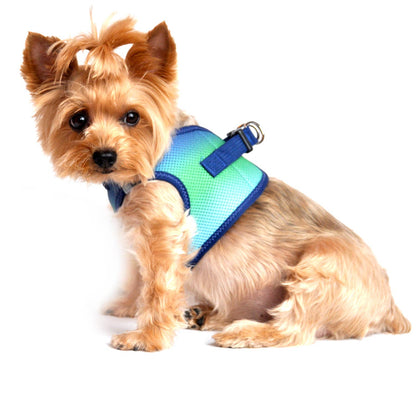 American River Ombre Dog Harness - Northern Lights