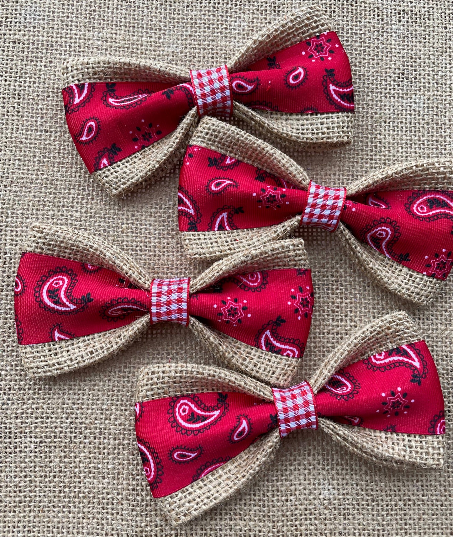 SALE *Red Bandanna