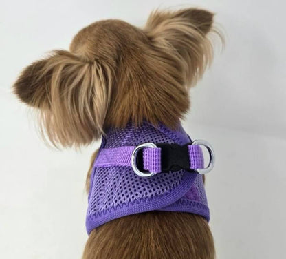 American River Solid Dog Harness - Paisley Purple