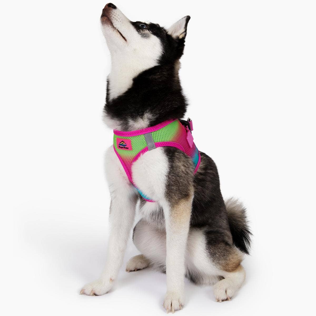 American River Ombre Dog Harness - Cotton Candy