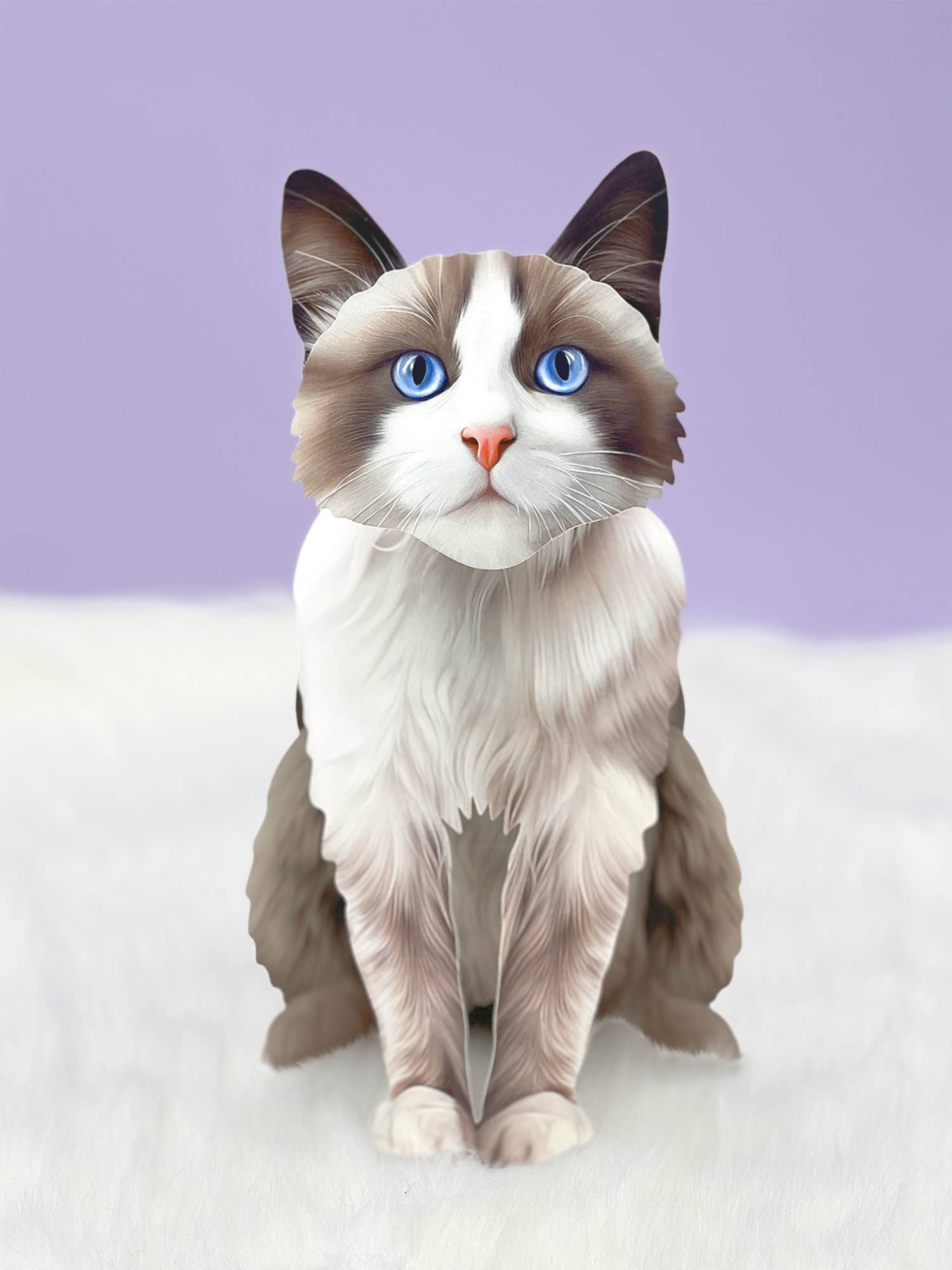 Jax Ragdoll Ragdoll Cat (6 Pop-up Greeting Cards) – bonejour Jax