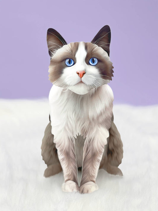 Ragdoll Cat (6 Pop-up Greeting Cards)
