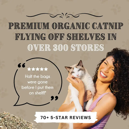 Organic Catnip & Silvervine Bean Bag Cat Toy | Gift for Pet